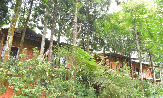 Sa Pa Cabina | Sapa Jungle
