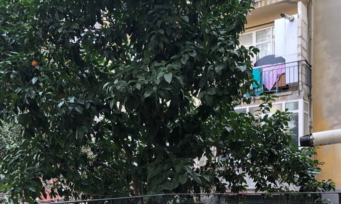 Rasimpasa Hotel | SARI KÖŞK