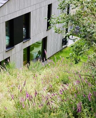 Winterberg Casa | Sauerland Lodge - Haus Juliana