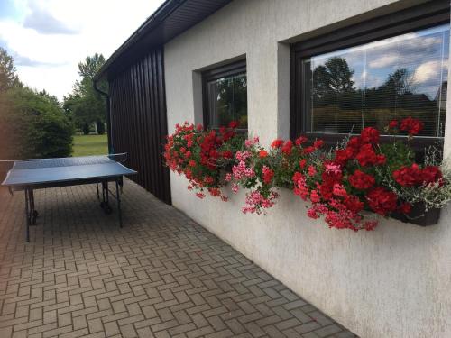 Mazeikiai Apartamento | Sauna House in North of Lithuania