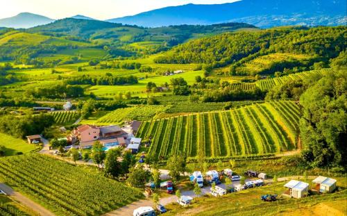 Zalosce Otro | Saxida Wine & Camping Resort Pitches