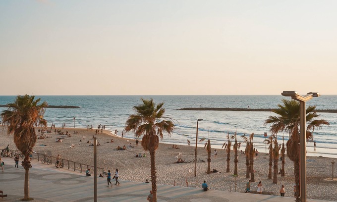 Tel Aviv Hotel | Dave Gordon - Son of a Brown