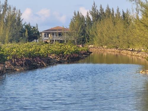South Bimini Casa | Scena's Place