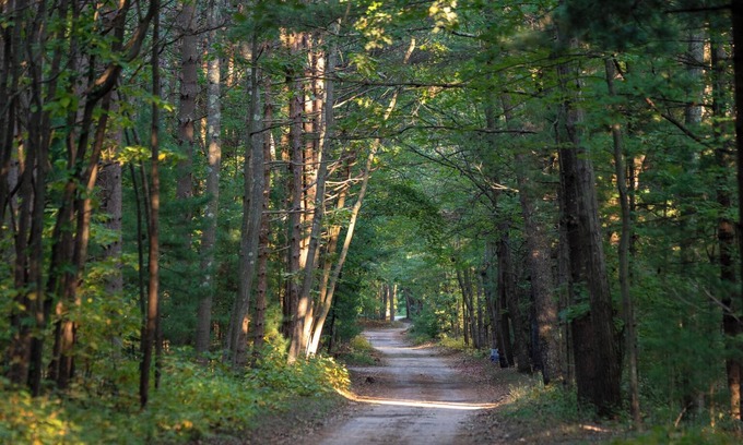 Muskegon Cabina | Scenic Drive Resort - Cabin #5