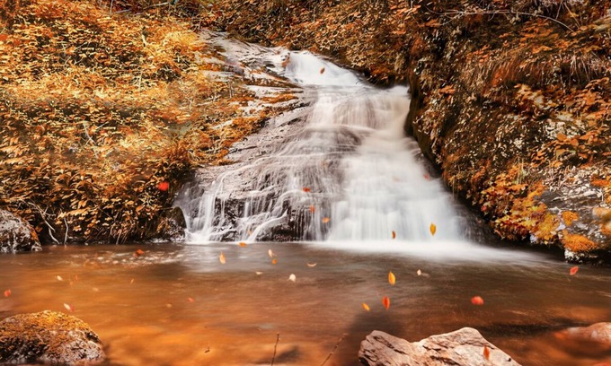 Sylva Cabina | Scenic Falls Cabin - Luxury Retreat w/ Private 65’ Waterfall & Natural Pool