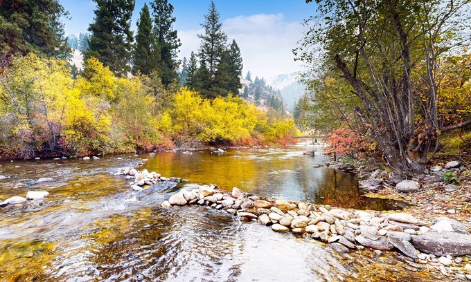 Sula Cabina | Scenic retreat w/two cabins, abundant wildlife, forest views, & fishing