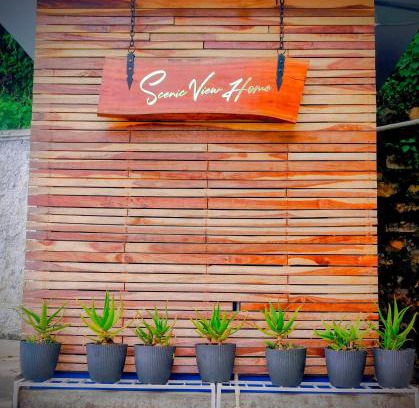 Shillong Casa | Scenic View Homestay