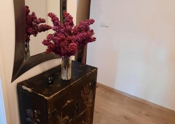 Graz City Centre Apartamento | Schöne Wohnung in der Grazer Innenstadt