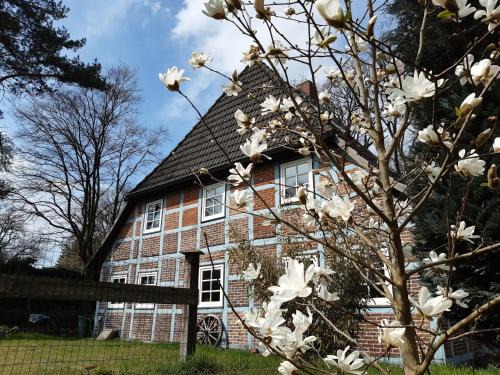 Asendorf Apartamento | Schönes Apartment vor den Toren Hamburgs - keine Monteurwohnung