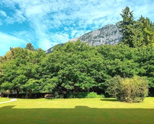 Bad Reichenhall Apartamento | Scheer Regina