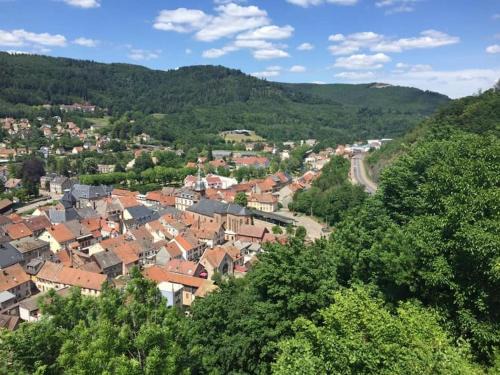 Schirmeck Apartamento | Schirmeck centre appartement au pied du château