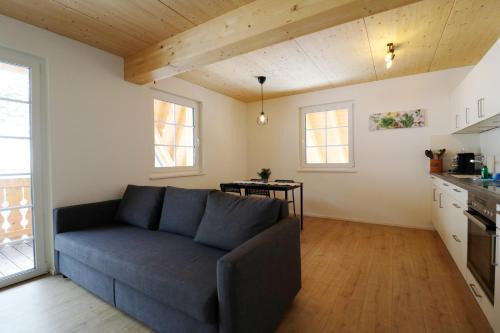 Menzenschwand-Hinterdorf Apartamento | Schwarzwaldhaus - Fewo Schwarzwaldtanne, St Blasien - Menzenschwand