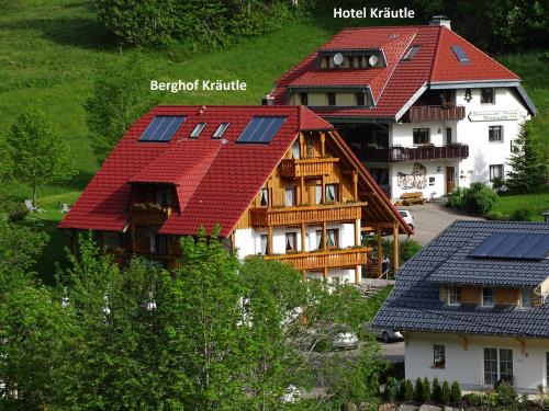 Neuglashutten Apartamento | Schwarzwald-Hotel Kraeutle