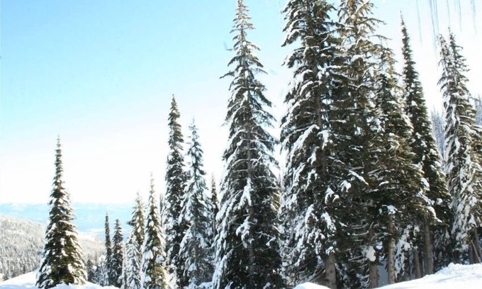 Sandpoint Condominio | Schweitzer Mountain True Ski en Ski Out Condo