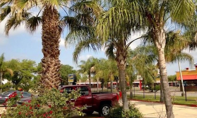 Southeast Houston Hotel | Scottish Inn & Suites - Hobby Airport