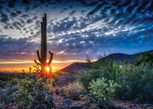 South Scottsdale Apartamento | Scottsdale's premium short term getaway, Fully furnished 1 bedroom homes, FREE Golf, cable, utilities, Wi-Fi, parking, pool, and bike trails- Unit 112 apts