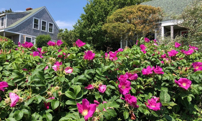 Block Island Cama Y Desayuno | Sea Breeze Inn