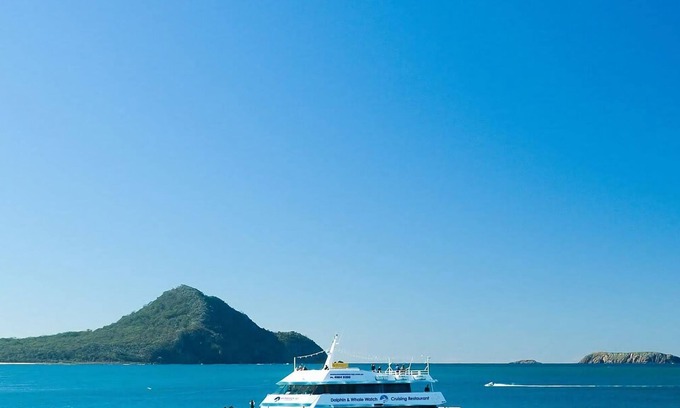 Lemon Tree Passage Casa | Sea Haven Furry Friends Welcome