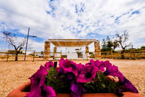 Punta Prosciutto Apartamento | Sea Salento Casa Vacanze