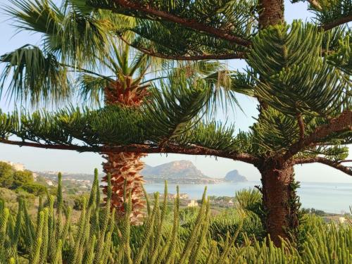 Altavilla Milicia Apartamento | Sea View Holiday