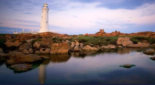 Cape Saint Francis Apartamento | Seal Point apartment