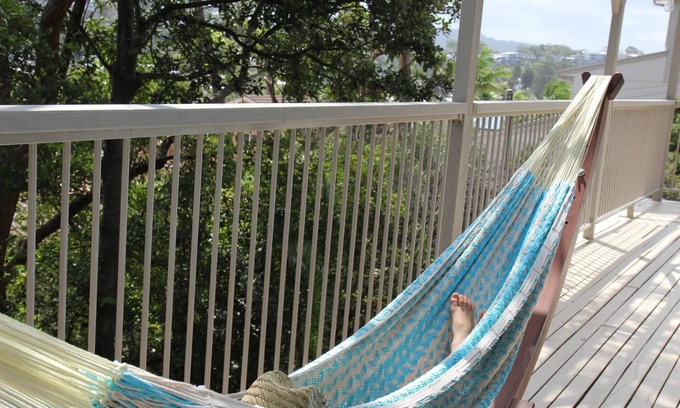 Avoca Beach Casa | Conchas marinas @ Avoca Beachhouse