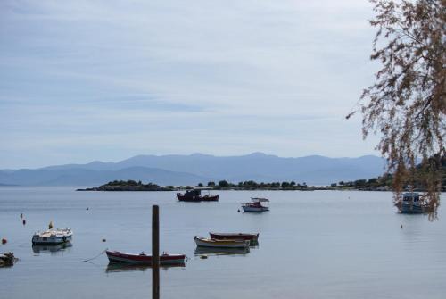 Volos Casa | Seaside Resort