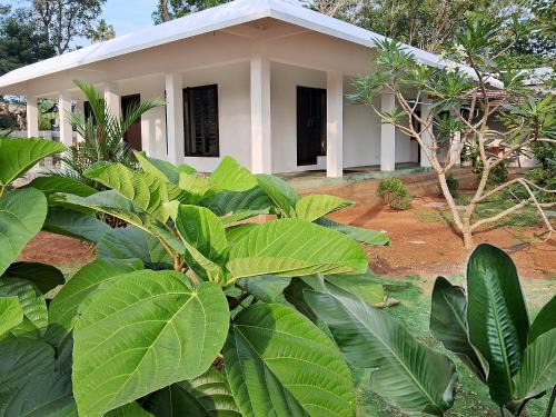 Mararikulam Apartamento | Sebastian's Oasis