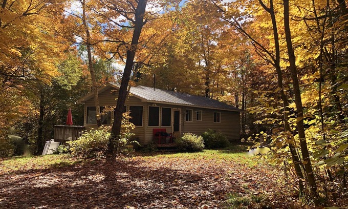Armour Casa | Secluded 10 Acre Cottage with Canoes, Kayaks and Fun!