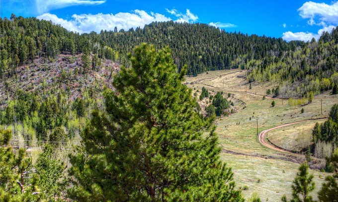 Cripple Creek Casa | Bears Den-Scenic Mountain Retreat, cerca de Pikes Peak