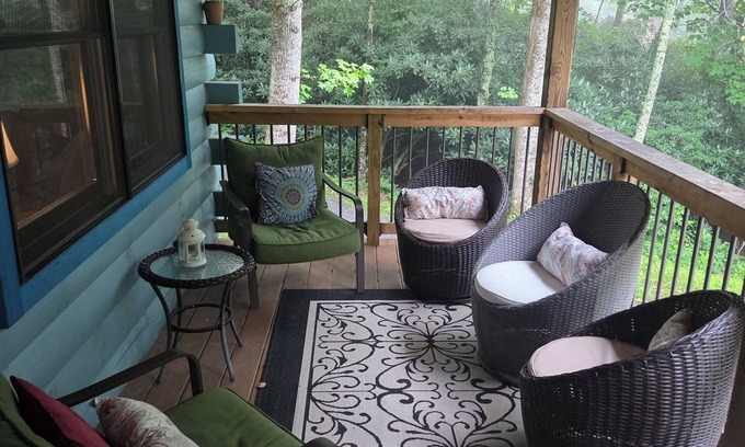 Asheville Cabina | Secluded cabin on 2 wooded acres in charming Clyde