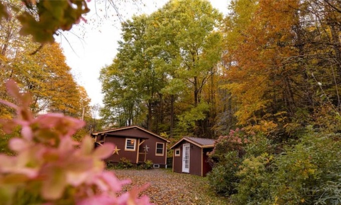Andes Cabina | Secluded Catskills Mtn Cabin steps from River