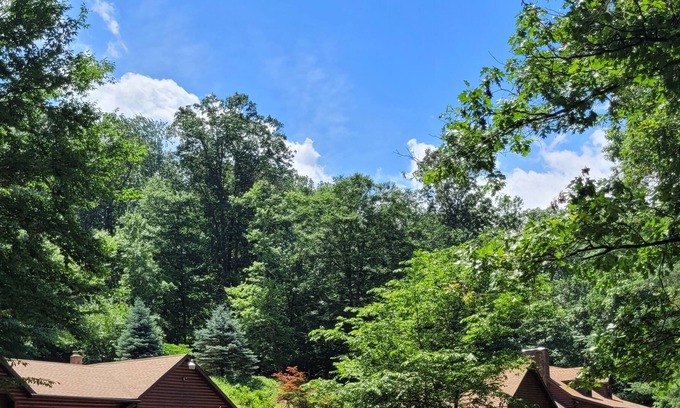 Birdsboro Casa | Secluded Log home in a very peaceful setting.