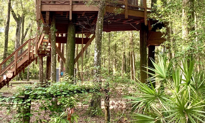 Old Town Cabina | Secluded Treehouse Cabin Retreat near the Suwannee River and freshwater springs!
