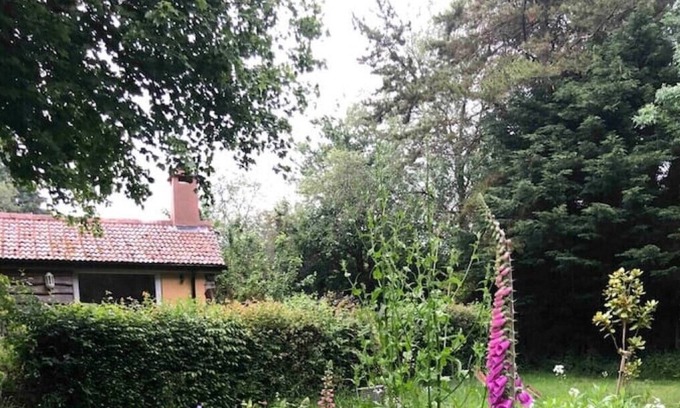 Worlington Cabaña | Seclusion by a Riverside Garden on Two Moors Way
