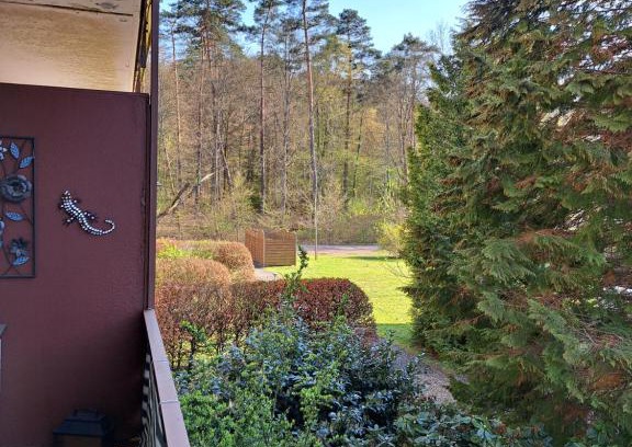 Ludwigswinkel Apartamento | Seen- und Felsenland