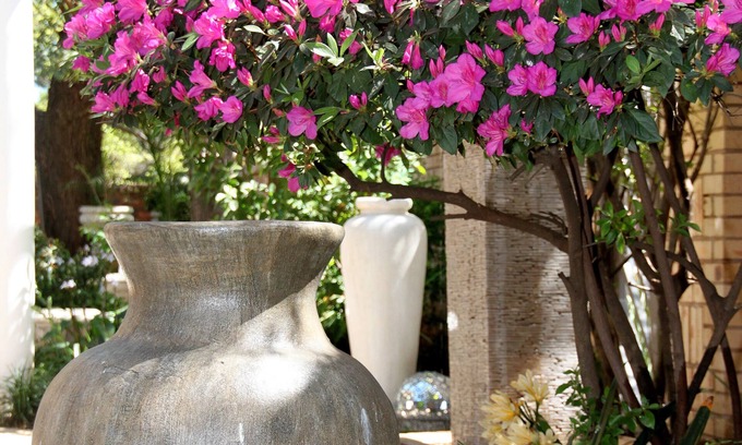 Carletonville Casa | Selati Guesthouse