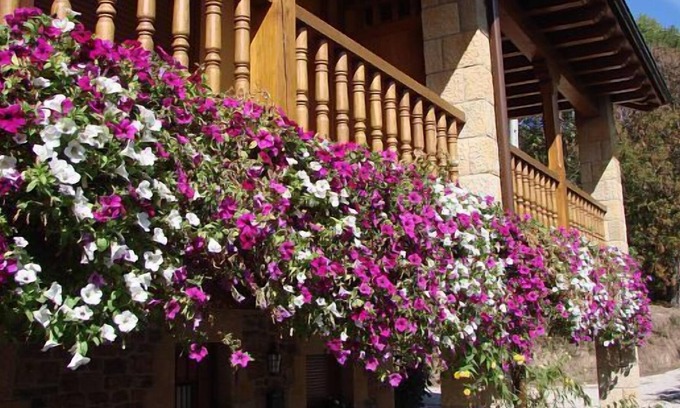 Cabezón de Liébana Cabaña | Casa rural (alquiler íntegro) La Real de Piasca para 7 personas