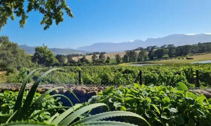 Klapmuts Cabaña | Self catering accomadation in the winelands. Mon Rêve Estate - Cottage 3