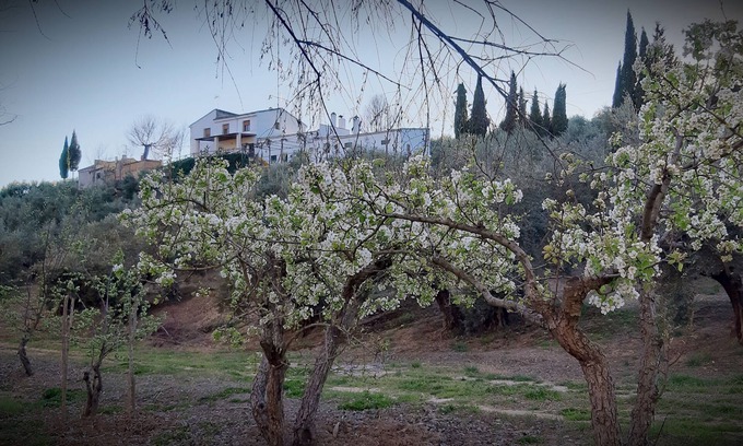 Villacarrillo Cabaña | Casa rural (alquiler íntegro) Cortijo El Capricho para 7 personas