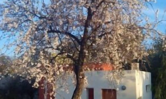 Calles Cabaña | Self catering cottage La Aldea for 4 people