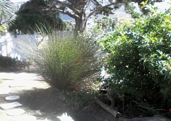 Sandbaai Casa | Self Catering Unit 6, Sandbaai