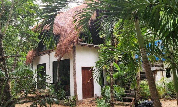 Macario Gómez Casa | SELVA ROCA