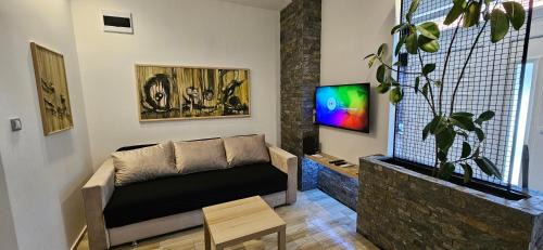 Leskovac Apartamento | Sen's Studio