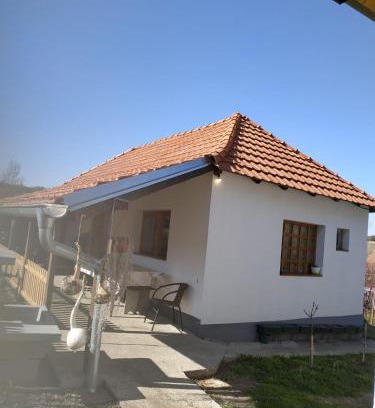 Central Serbia Apartamento | Seosko turističko domaćinstvo MILKA