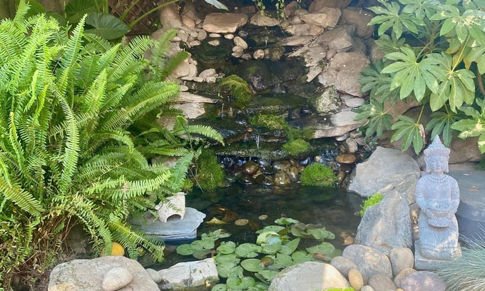 Visalia Casa | Seq Parks-hot Tub Fire Pit Koi Pond Outdoor Kitch