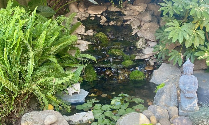 Visalia Casa | Sequoia Parks Coast Wineries Skiing-Enjoy Hot Tub Firepit Outdoor Kitchen