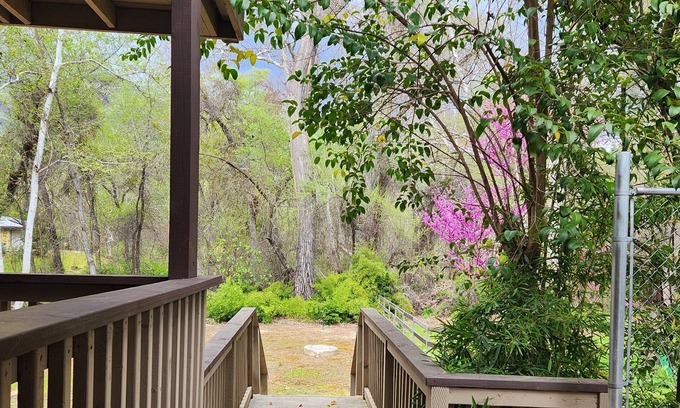 Three Rivers Apartamento | Sequoia Relaxation Nook / charming 1 bedroom studio in three rivers