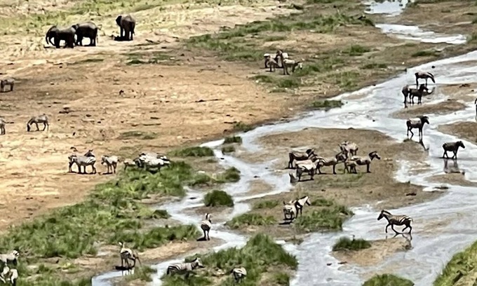 Moshi Otro | SERE ADVENTURE SAFARI