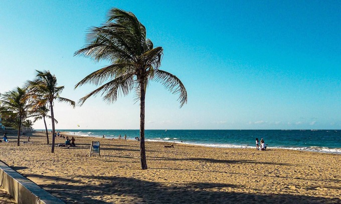 Ocean Park Apartamento | Serena Alta
